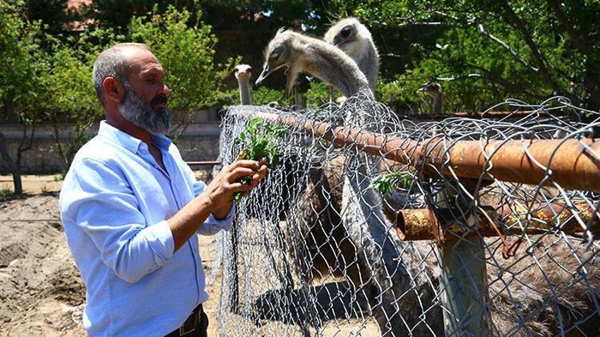 Paraya para demiyor! Yılda 300 bin lira kazandırıyor...