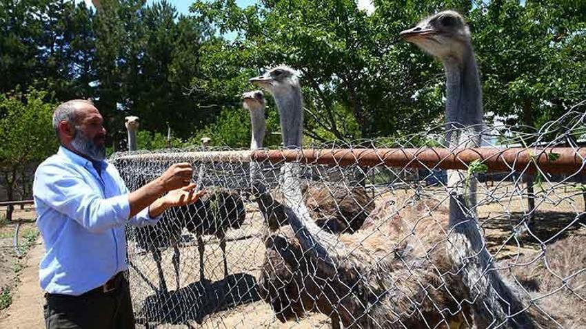 Paraya para demiyor! Yılda 300 bin lira kazandırıyor...