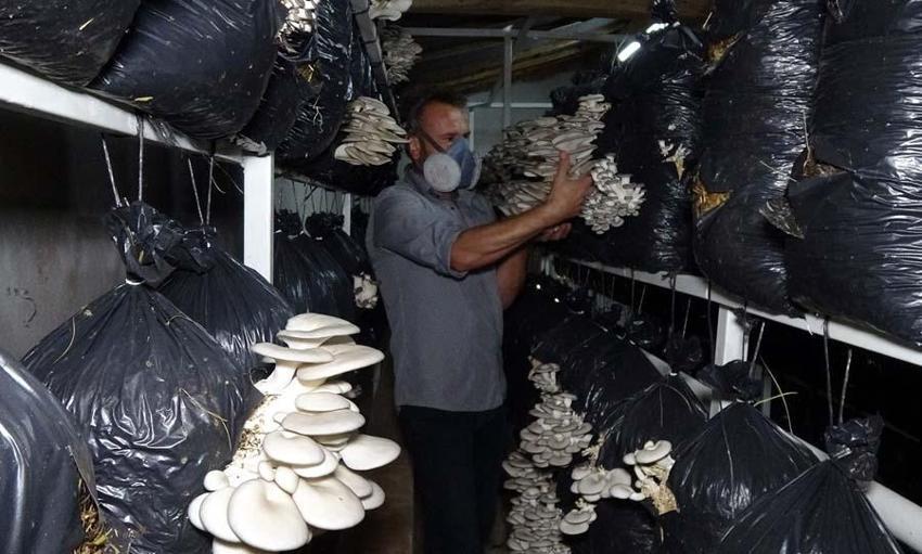 Siparişlere yetişemiyor! 22 gün sürüyor, her yerden isteyen var...