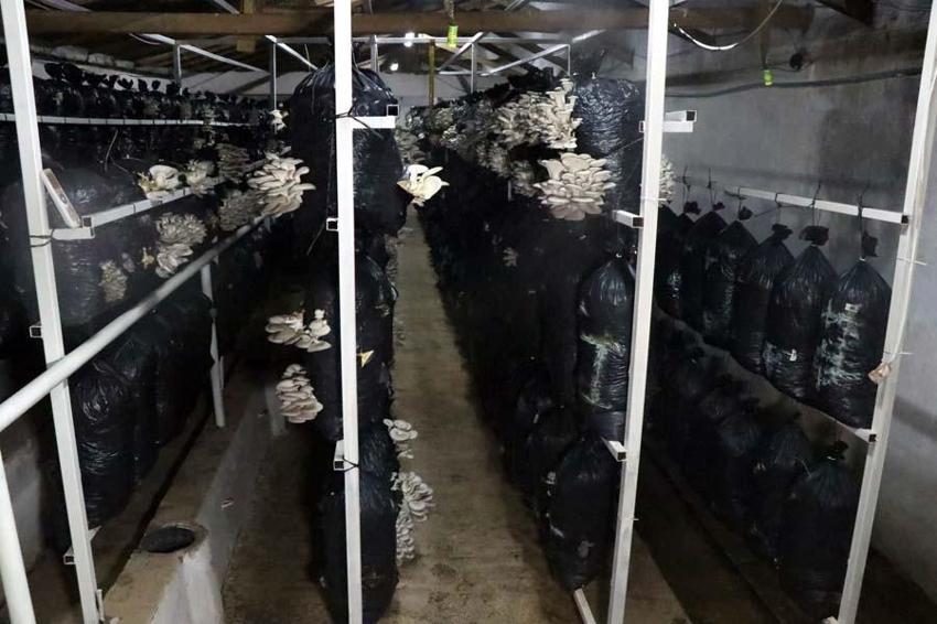 Siparişlere yetişemiyor! 22 gün sürüyor, her yerden isteyen var...