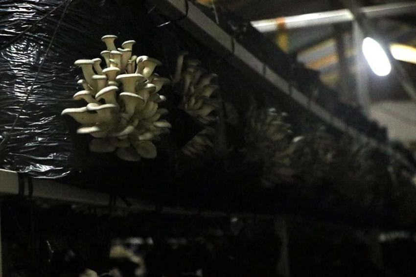 Siparişlere yetişemiyor! 22 gün sürüyor, her yerden isteyen var...