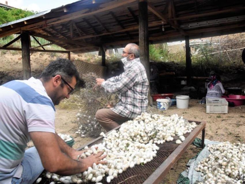40 günde 10 bin lira! Eski okul binasında bu işi yapıyorlar