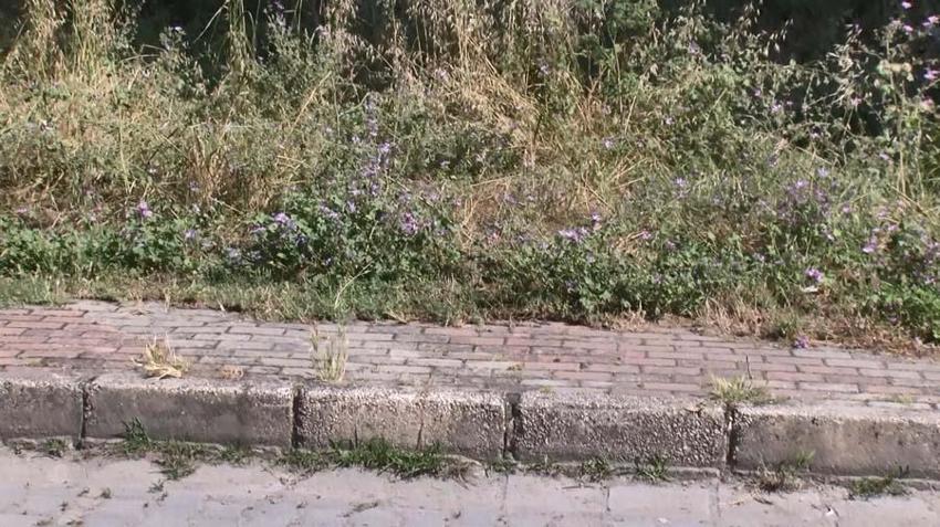 Jaguarlı cinayetin katilleri yakalandı! Vahşetin bahanesi pes dedirtti...
