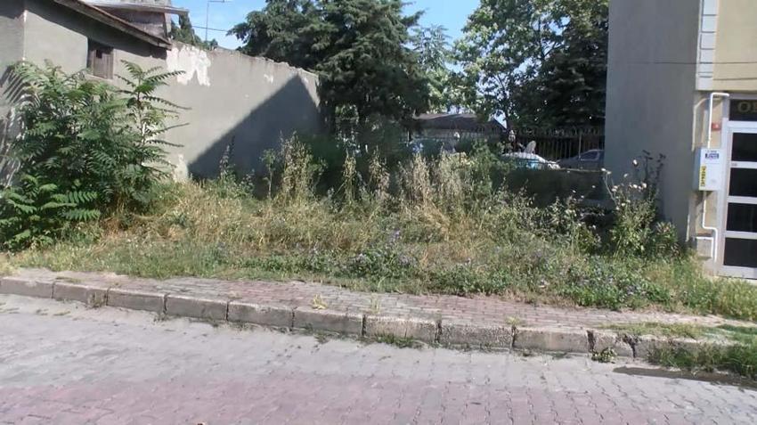 Jaguarlı cinayetin katilleri yakalandı! Vahşetin bahanesi pes dedirtti...