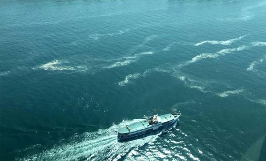Müsilaj felaketi Marmara’da 1000 metre derinlikte!