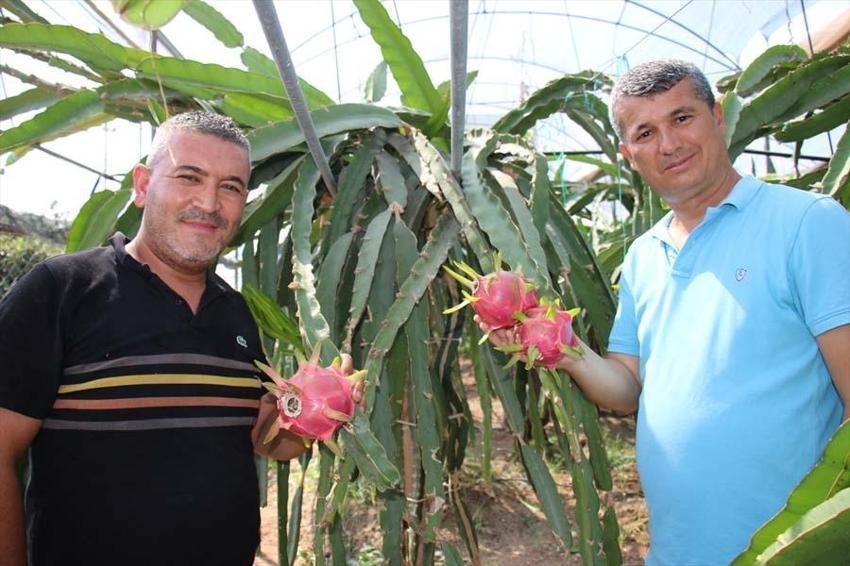 Sipariş yağıyor, herkes istedi! 250 bin lira kazanıyor, adet fiyatı ise 90 lira...