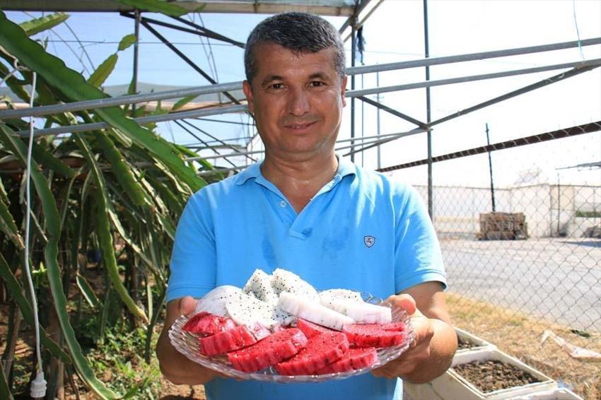 Sipariş yağıyor, herkes istedi! 250 bin lira kazanıyor, adet fiyatı ise 90 lira...