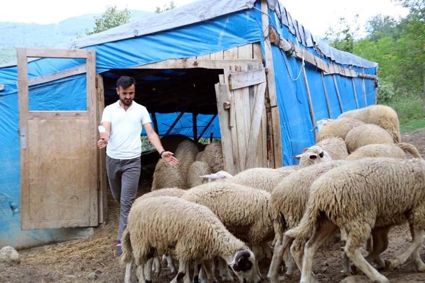 Memleketine geri dönüp bu işi yapmaya başladı! 250 bin liraya sattı