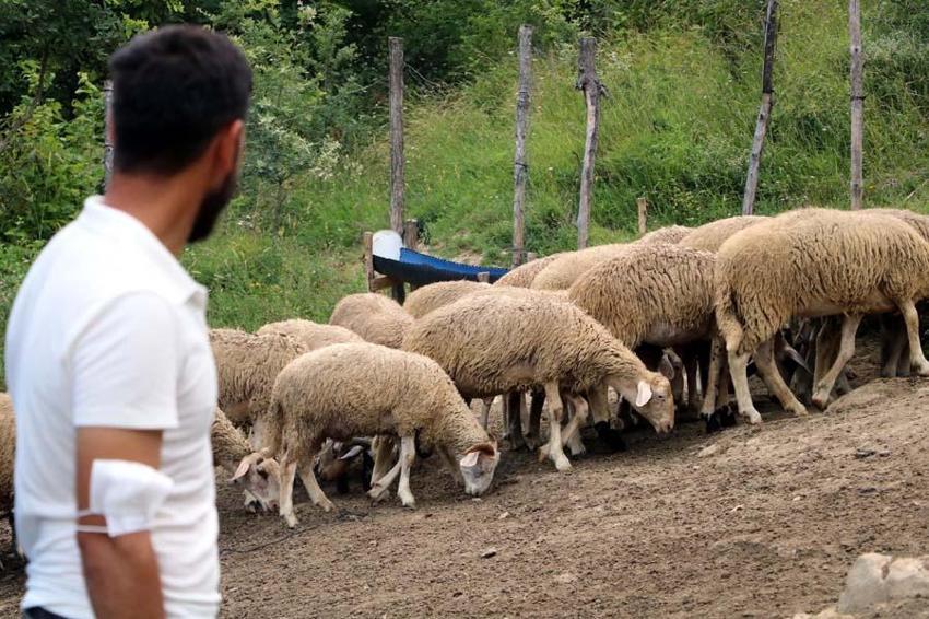 Memleketine geri dönüp bu işi yapmaya başladı! 250 bin liraya sattı