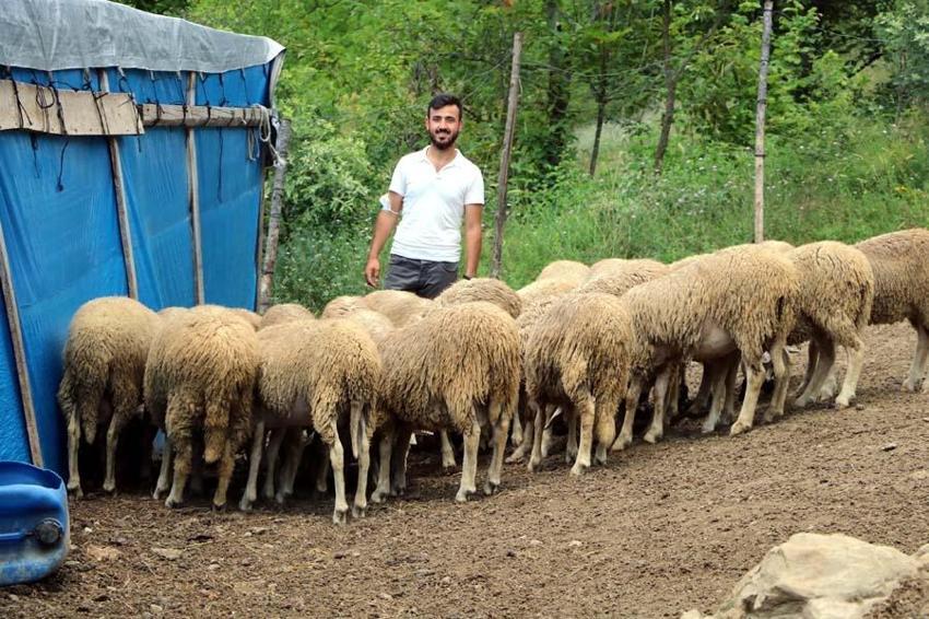 Memleketine geri dönüp bu işi yapmaya başladı! 250 bin liraya sattı
