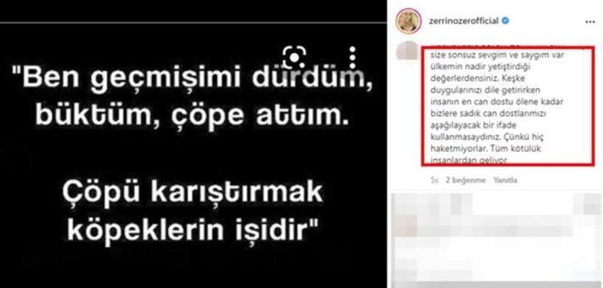 Zerrin Özer o sözleriyle tepki çekti! 'Sadece ironiydi'
