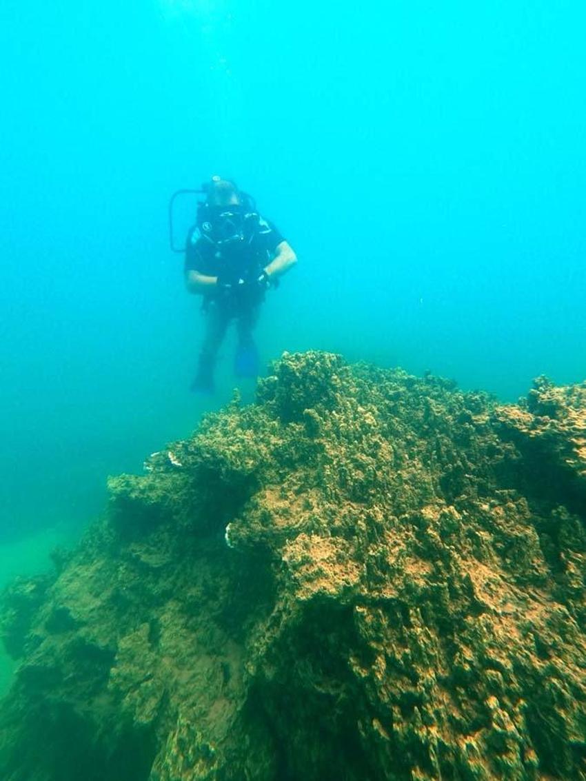 Van Gölü'nde yeni keşif! Boyları 40 metre uzunluğunda, dünyanın en büyüğü...
