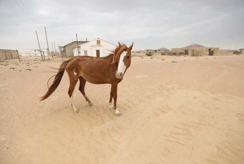 Tüm dünya felaketlerle sallanıyor! Binlercesi öldü! Kıyamet alameti...