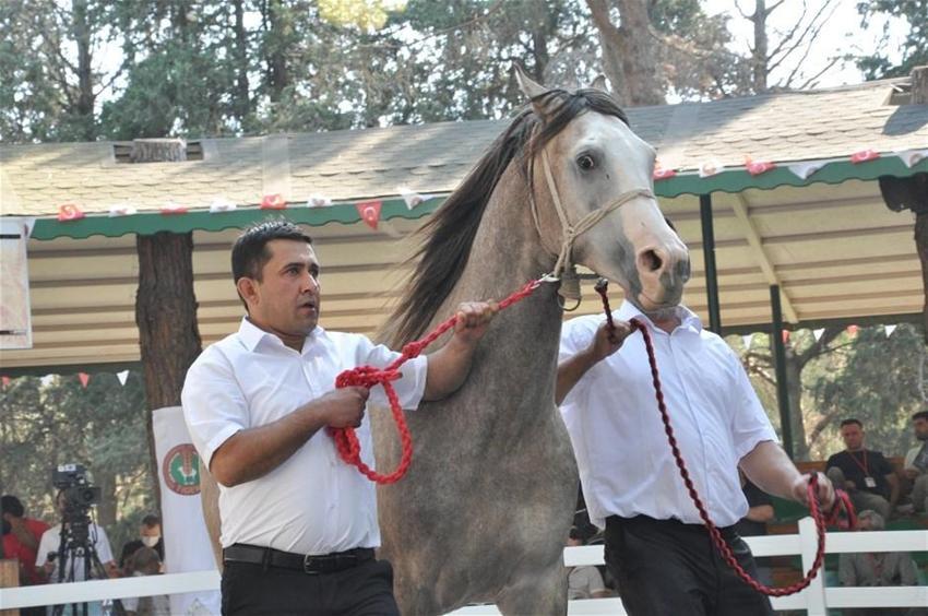 Açık artırmayla 8,5 milyon TL'ye satıldı!