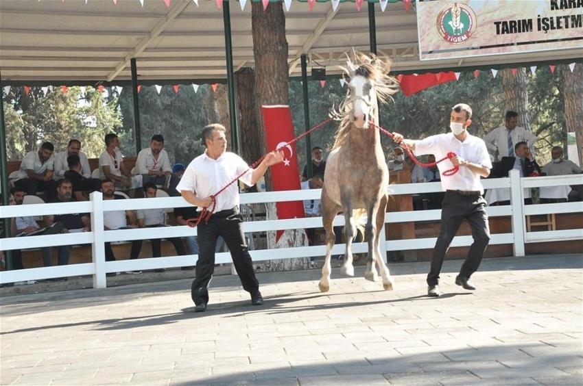 Açık artırmayla 8,5 milyon TL'ye satıldı!
