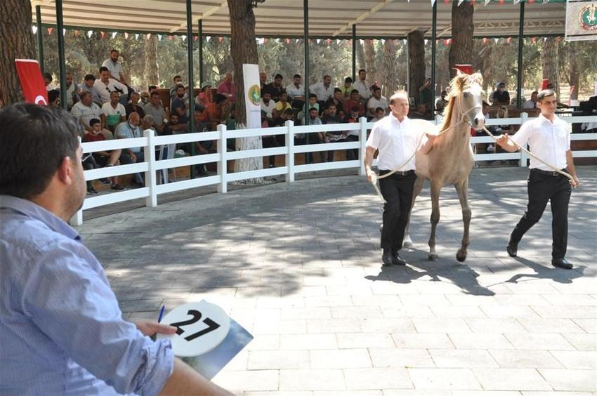 Açık artırmayla 8,5 milyon TL'ye satıldı!