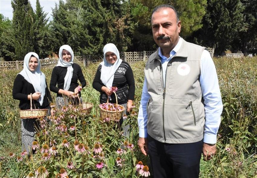 En az 25 bin lira kazanıyorlar! Adını bile bilmiyorlardı, şimdi yılda 5 kez para alıyorlar