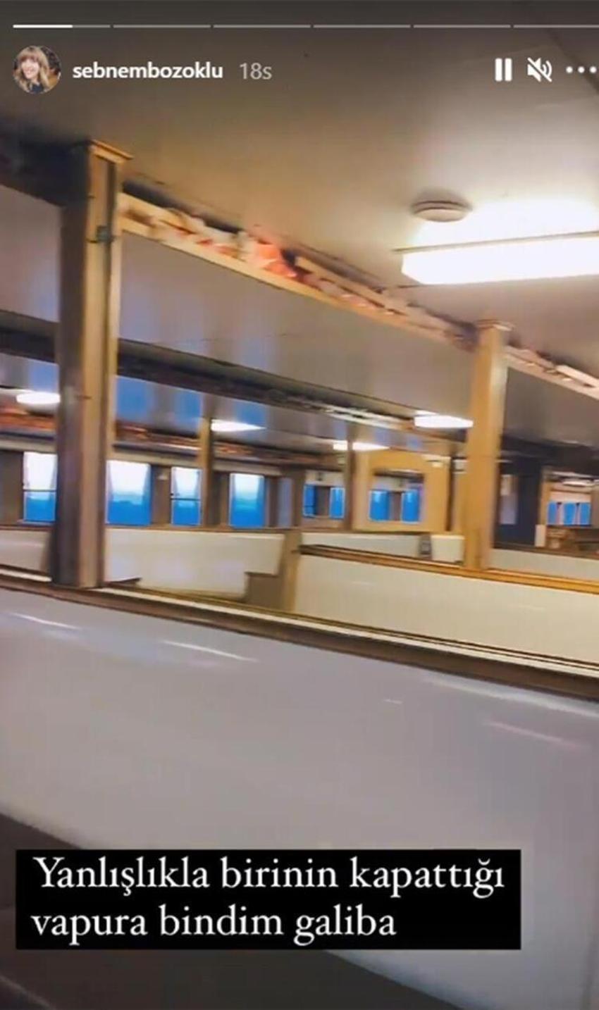 Şebnem Bozoklu'dan bit pazarı açıklaması: Şahane bir şey!