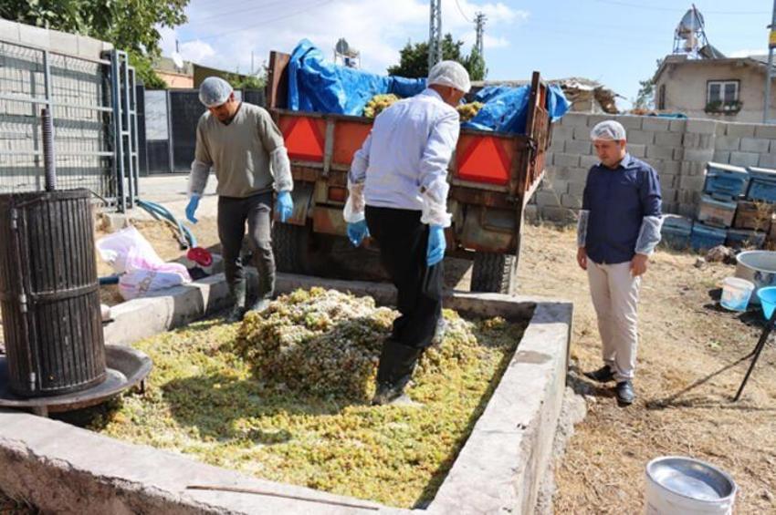 Rusya’dan talep yağıyor, fiyatı 40 lira... ‘Tamamen doğal antibiyotik’