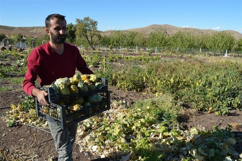 Herkes ‘yapamazsın’ dedi ama o başardı! Prostat sorununa ilaç