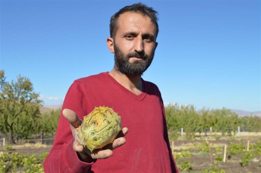 Herkes ‘yapamazsın’ dedi ama o başardı! Prostat sorununa ilaç