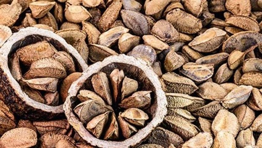 Birçok hastalığa çare! Erkekler dikkat: Testosteron düzeyini artırıyor