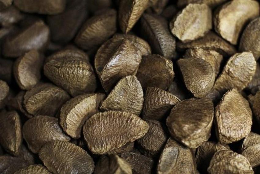 Birçok hastalığa çare! Erkekler dikkat: Testosteron düzeyini artırıyor