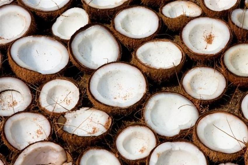 Kalbe iyi geliyor, felç riskini azaltıyor! Bu besinler hızla zayıflatıyor
