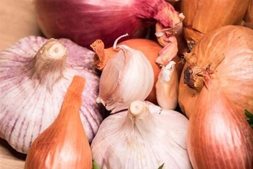 Hepsi birer kollajen deposu! Bu 10 besin vücut sağlığı için ‘kilit’