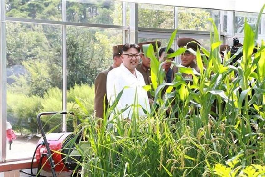 Kuzey Kore lideri Kim Jong-un'dan flaş adım! Ölümcül hastalık iddiası...