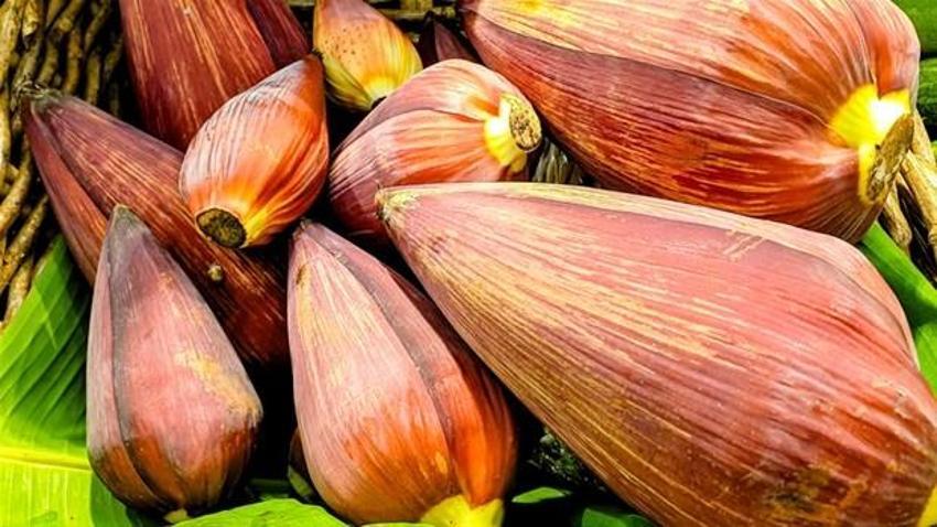 Her derde deva! Kanser hücrelerini öldürüyor, regl ağrısını hafifletiyor