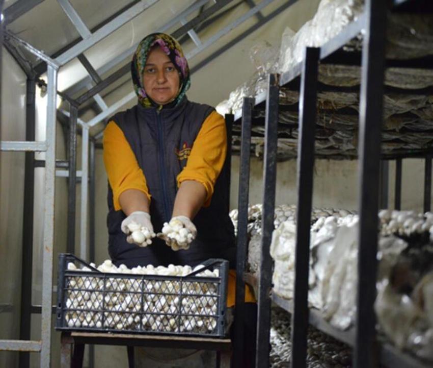50 bin TL ile başladı! Şimdi aldığı maaşın 4 katını kazanıyor