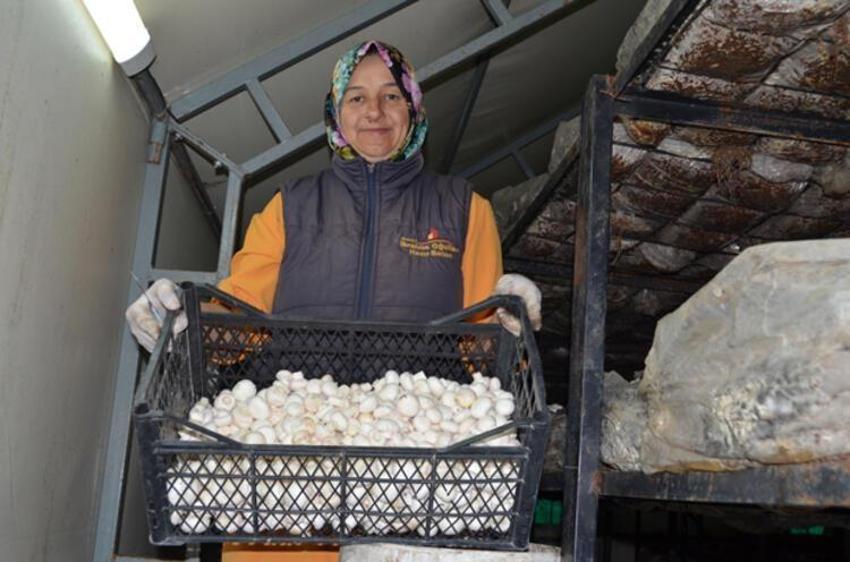 50 bin TL ile başladı! Şimdi aldığı maaşın 4 katını kazanıyor