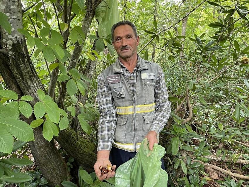 Kilosu 35 lira! Herkes oraya akın ediyor, 1 kilometrelik kuyruk...