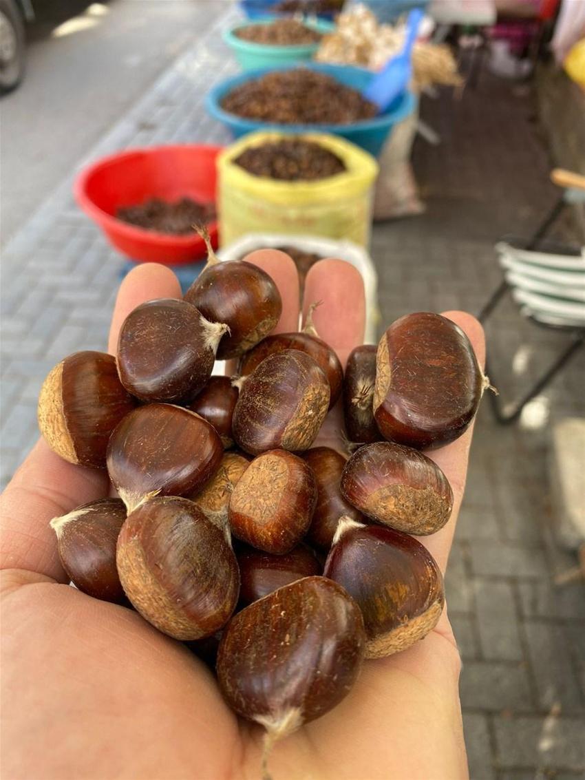 Kilosu 35 lira! Herkes oraya akın ediyor, 1 kilometrelik kuyruk...