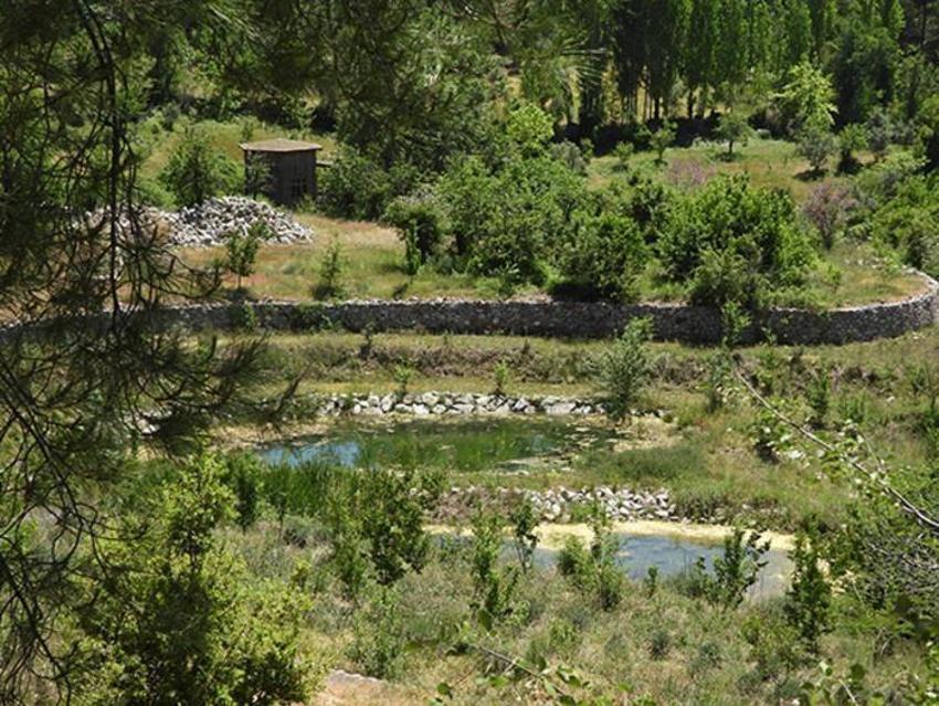 Masumlar Apartmanı'ndan Özgü Namal'a teklif