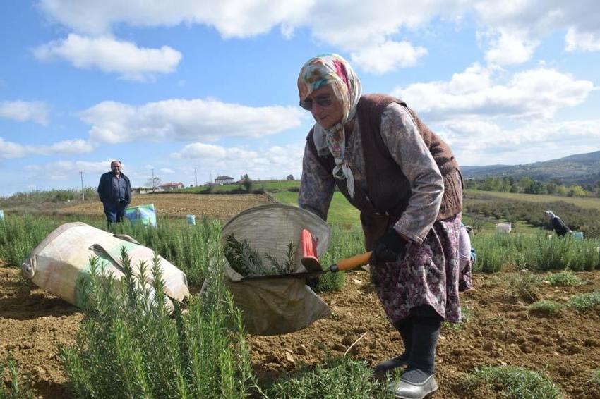 Paraya para demiyorlar! Devlet desteği de var, 162 bin TL kazanç...
