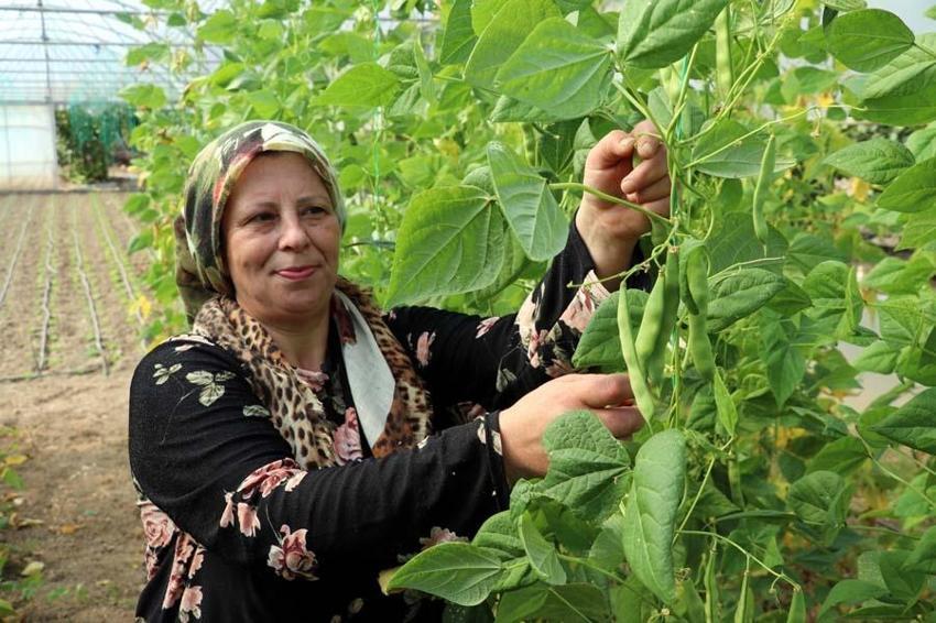 İstemeyerek bu işe girmişti! Devlet desteğiyle büyüdü, şimdi ise...