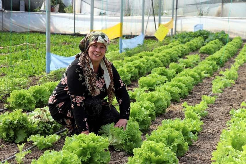 İstemeyerek bu işe girmişti! Devlet desteğiyle büyüdü, şimdi ise...