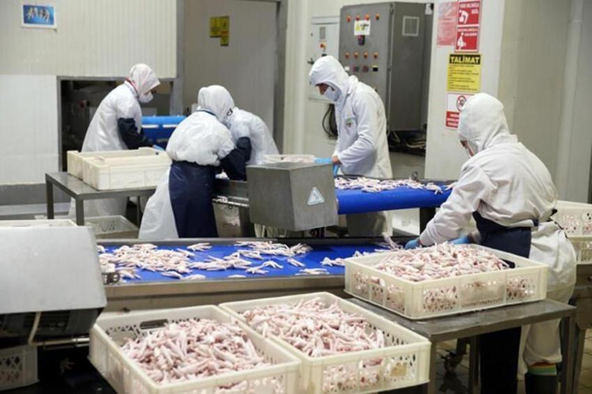 70 ülkeye satılıyor! Değeri 10 milyon dolar