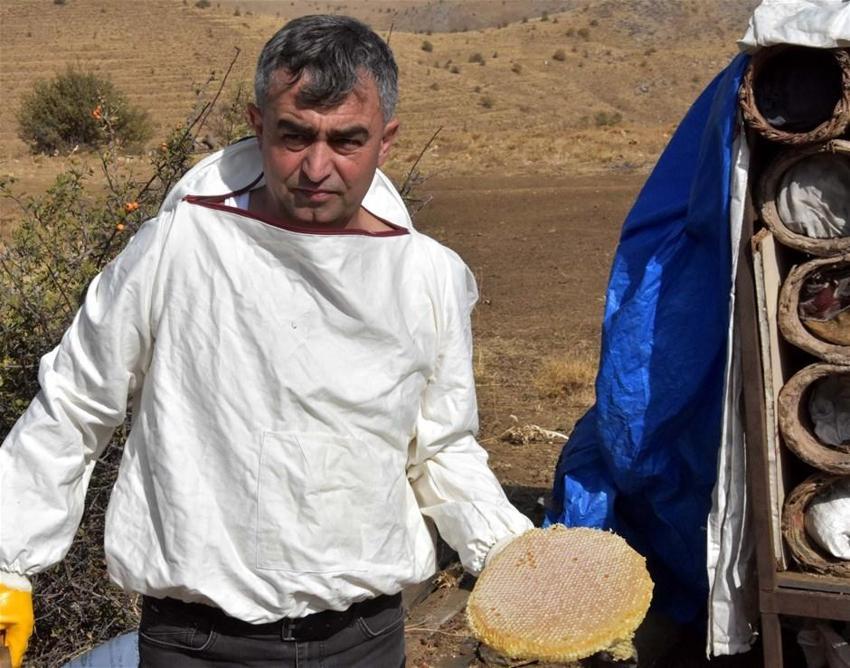 Geçen yıl 7 milyon lira kazandırdı! Kilosu 300 lira...