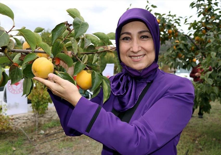 Daha yüksek fiyata satmak için bunu yapıyorlar! Arasında 10 kat fark var, ve başladı...