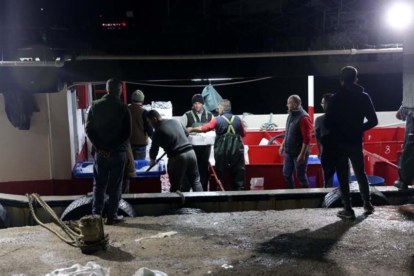 Hamsinin fiyatı düştü! Balıkçı tezgahlarında kilosu10 liraya satılıyor...