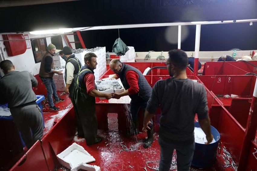 Hamsinin fiyatı düştü! Balıkçı tezgahlarında kilosu10 liraya satılıyor...