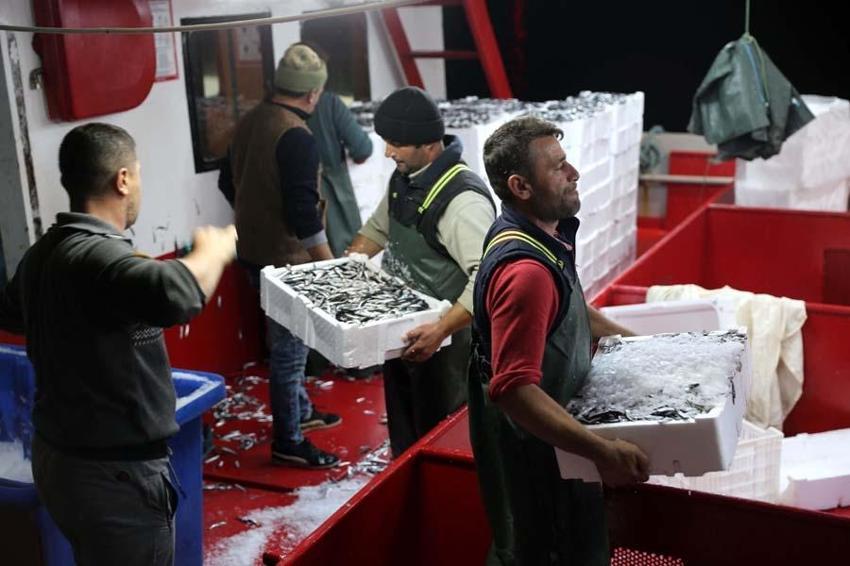 Hamsinin fiyatı düştü! Balıkçı tezgahlarında kilosu10 liraya satılıyor...