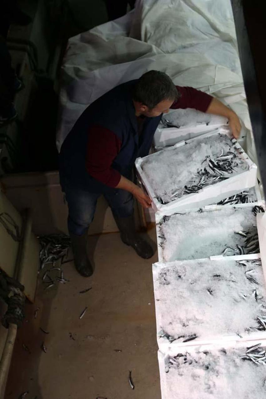 Hamsinin fiyatı düştü! Balıkçı tezgahlarında kilosu10 liraya satılıyor...