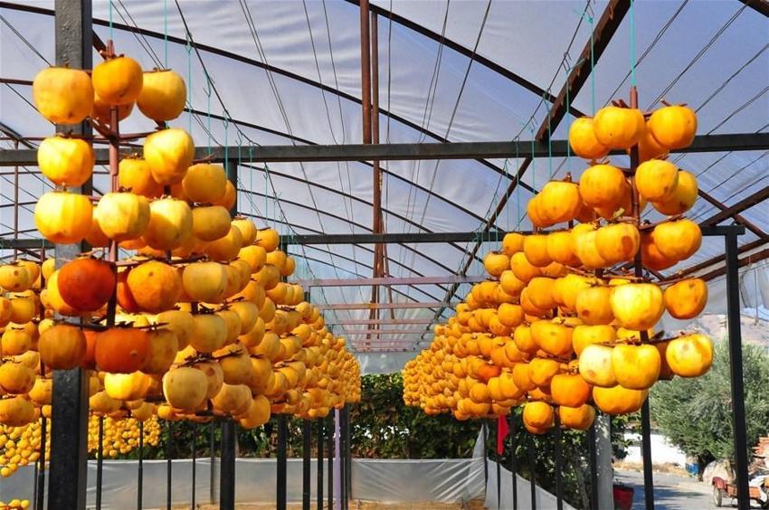 Kilosu 50 lira! Çöpe atmayıp kurutmaya başladı, talep patladı...