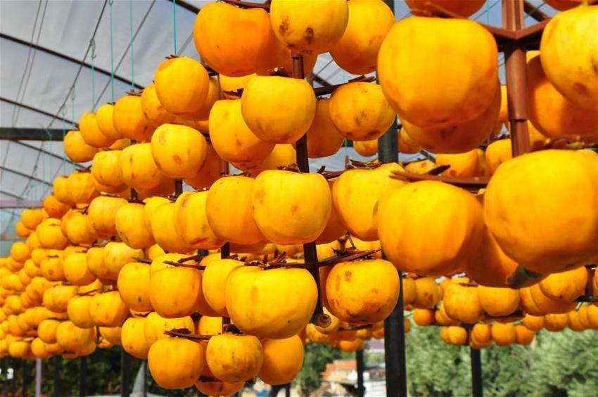 Kilosu 50 lira! Çöpe atmayıp kurutmaya başladı, talep patladı...