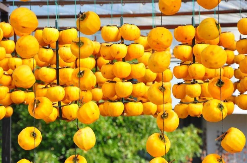 Kilosu 50 lira! Çöpe atmayıp kurutmaya başladı, talep patladı...