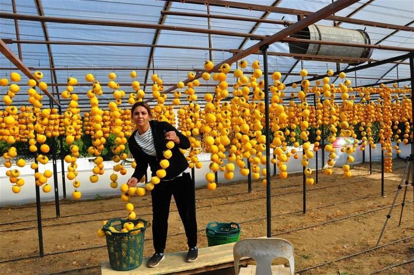 Kilosu 50 lira! Çöpe atmayıp kurutmaya başladı, talep patladı...
